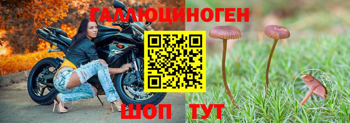 Псилоцибиновые грибы ЛСД  Вход с VPN  цены наркотик  Моздок 